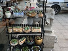 -屯屯面(海尔路店)