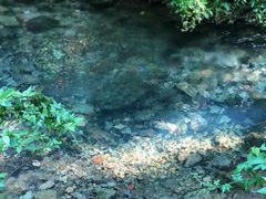 -雁荡山风景名胜区-小龙湫