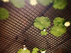 -福慧慈缘素食餐厅(王府井店)