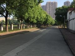 -同济大学(沪西校区)