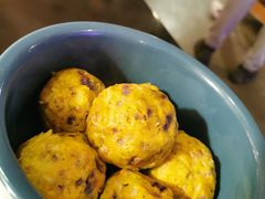 -百好乐宠物友好餐厅(朝外大街店)