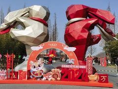 -黄海国家森林公园