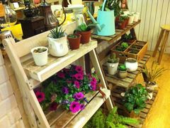 -长颈鹿咖啡(大学路店)