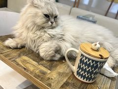 -小时光咖啡馆(北锣鼓巷店)