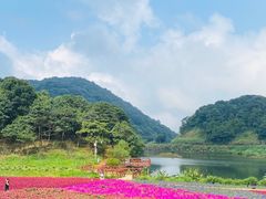 -广州市石门国家森林公园