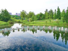 -眉山湿地公园(东坡区)