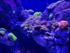 -成都浩海立方海洋公园