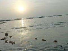 -贝壳沙滩