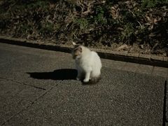 -碧水湾温泉