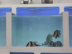 -南蚝小贝海鲜特色餐厅(南澳岛店)