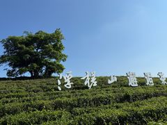 -浮槎山