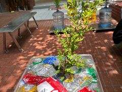 -中国海诚工程科技股份有限公司(宝庆路)