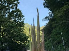 -长谷洞天