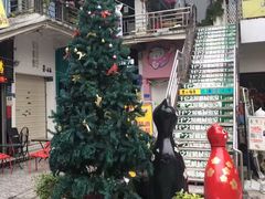 -猫咪博物馆(顶澳仔猫街店)