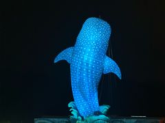 -珠海长隆海洋王国