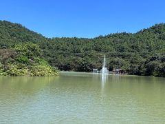 -广州白江湖森林公园