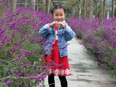 -洪湖家庭农场·团建·露营·会议