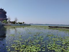 -阳澄湖半岛旅游度假区