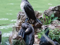 -云南野生动物园