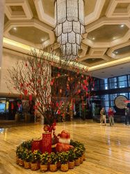 -上海外高桥喜来登酒店·宴会厅