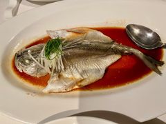 清蒸野养大黄鱼-悦海堂(金融街购物中心店)