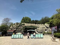 -合肥野生动物园