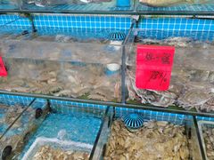 -洲晓鱻舟山海鲜(2号店)