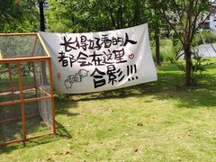 -长兴太湖图影湿地文化园