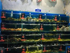 大堂-海味当家·蒸锅海鲜(中山广场创始店)