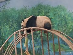 -杭州动物园