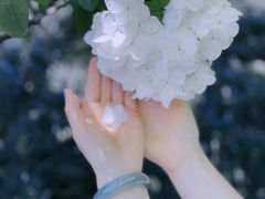-杭州城北体育公园