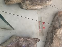 -赵州桥景区