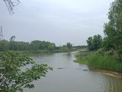 -同里国家湿地公园