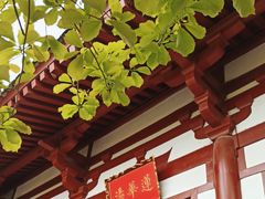 -华清宫景区