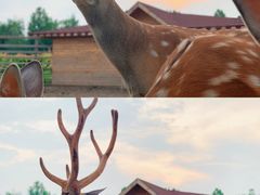 -安德鲁户外烧烤帐篷营地(马泉营店)