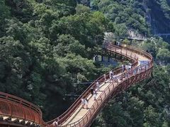 -少华山国家森林公园