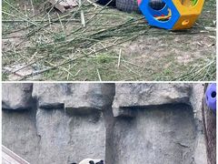 -上海野生动物园