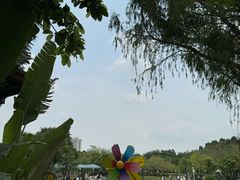 -海珠儿童公园
