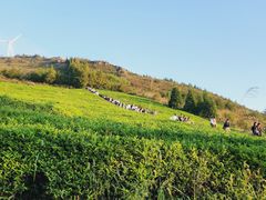 -东白山