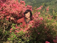 -木兰云雾山