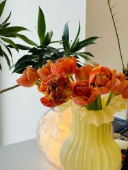 点击看大图 -WENDY·温迪皮肤管理