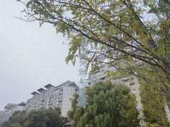 -皇家御河游(紫御湾码头)