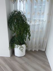 -HEYAN荷妍专业脱毛连锁机构