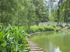 -重庆彩云湖湿地公园