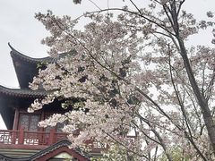 -堤角公园