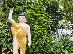 -瑞丽独树成林风景区