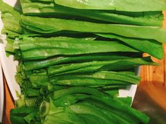 油麦菜-草原塞蛮羊火锅城(港湾店)