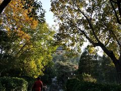 景点-景山公园