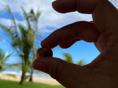 -三亚海棠湾万丽度假酒店