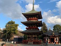 -成田山新胜寺
